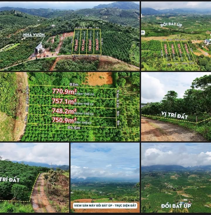 Đất Liền Kề Lộc Thành Bảo Lâm 750m² giá chỉ từ 940 triệu - Tiềm năng đầu tư tuyệt vời!