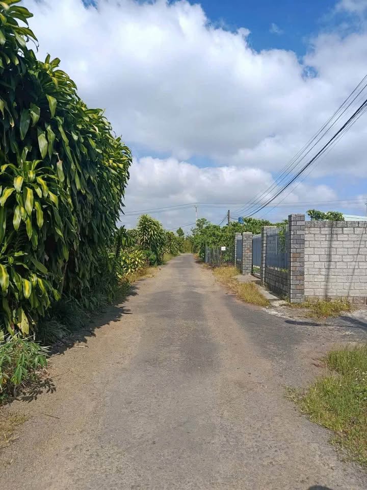 Đất nền 2056m² Hẻm Đoàn Thị Điểm P1 Bảo Lộc - Giá chỉ 4.2 tỷ, giao dịch nhanh!