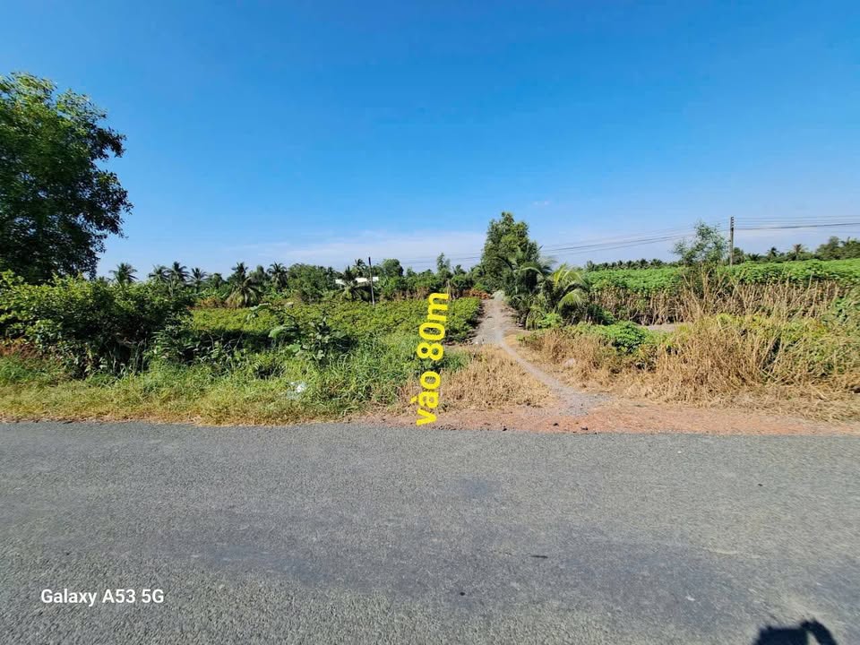 Đất vườn 8600m² tại Ấp 3, xã Tân Thành, Thủ Thừa - Giá 4,3 tỷ, thương lượng nhẹ!