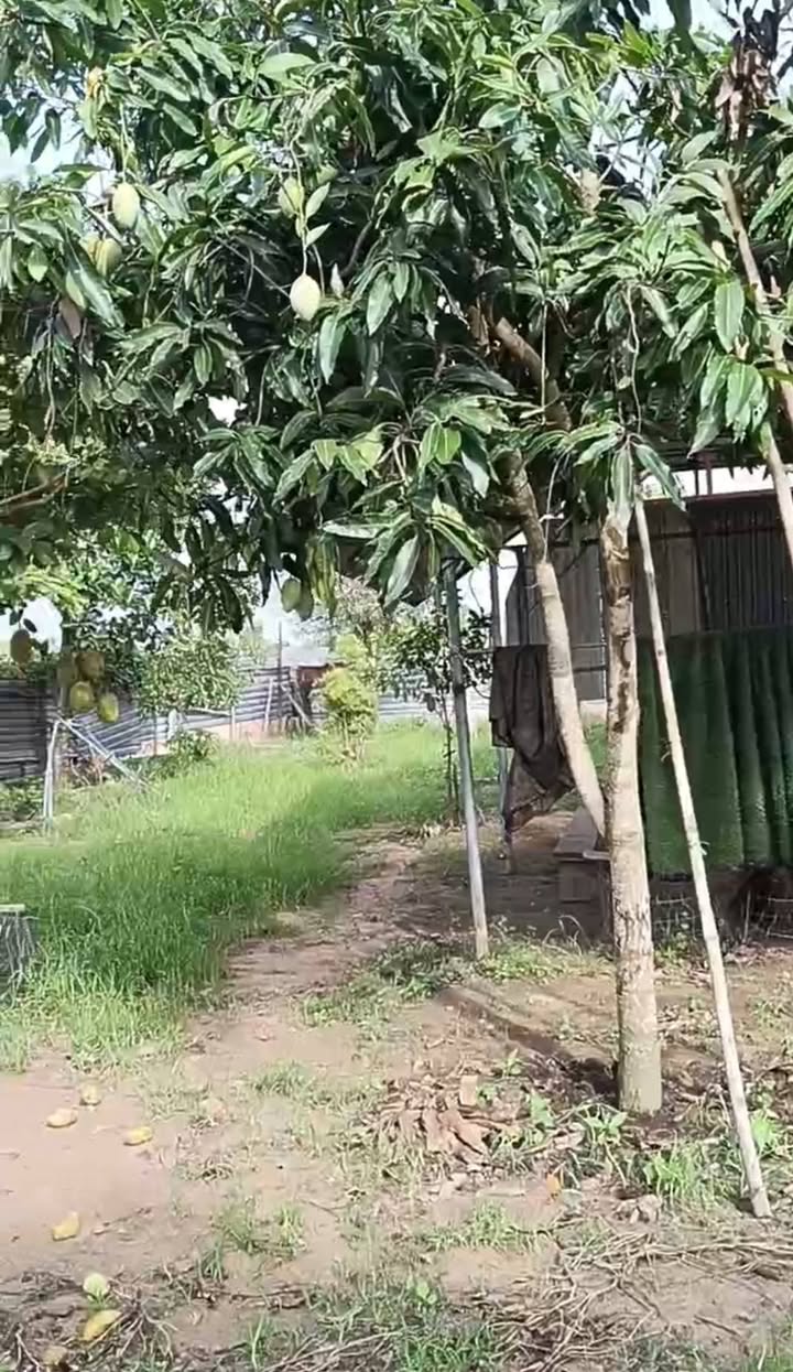 Đất nền Hồ Tràm, Xuyên Mộc 739m² giá 3 tỷ - Đầu tư lý tưởng cho nghỉ dưỡng!