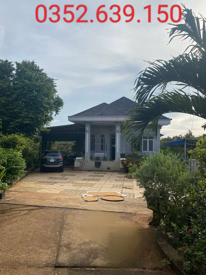 Biệt thự Nhà Vườn Sông Xoài - 6000m² chỉ 20 tỷ - Cơ hội đầu tư tuyệt vời!