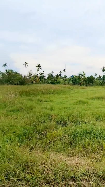 Đất nền ấp 6B, Bình Mỹ, Củ Chi 110m² giá 1.65 tỷ - Đón đầu cơ hội đầu tư!