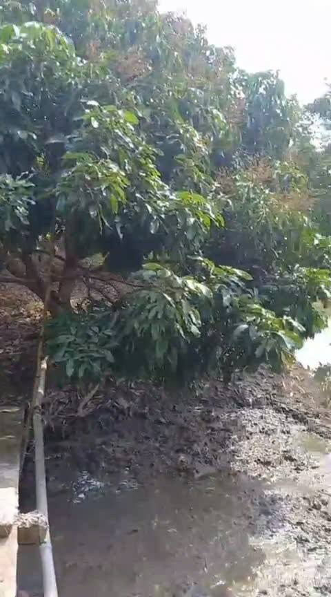 Đất vườn 11.750m² xã Mỹ Hiệp, giá chỉ 7.05 tỷ - Cơ hội đầu tư hấp dẫn!