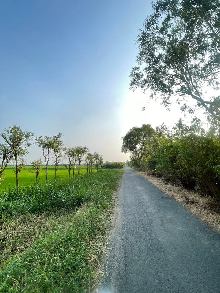 Đất nền Tân Điền, Gò Công Đông 4000m² giá 9 tỷ - Đầu tư sinh lời ngay!