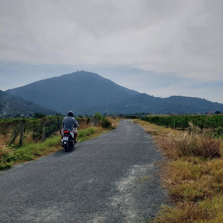 Đất thổ cư mặt tiền nhựa tại Thạnh Tân, Tây Ninh 1112.6m² giá chỉ 866.75 triệu