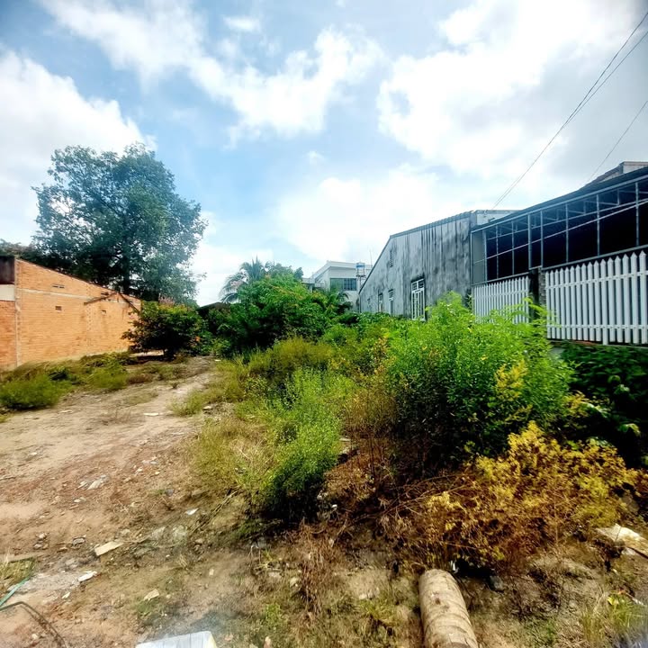 Đất thổ cư Ninh Lợi, Tây Ninh 252m² giá 2.365 tỷ - Cơ hội đầu tư hấp dẫn!