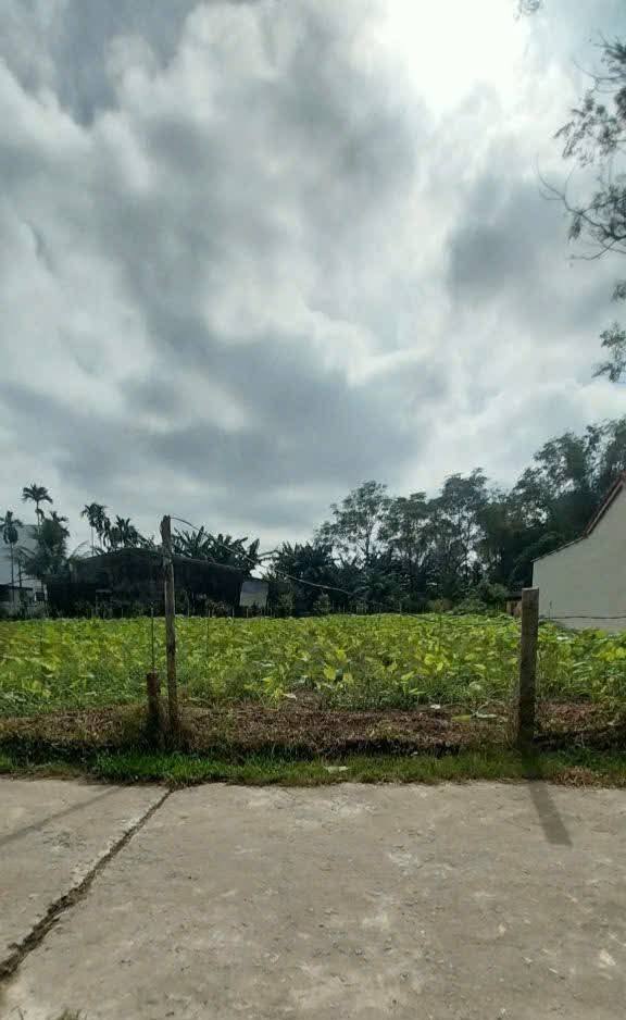 Lô đất Hòa Tiến Đà Nẵng 150m² giá 1.8 tỷ - Tiềm năng tăng giá mạnh!