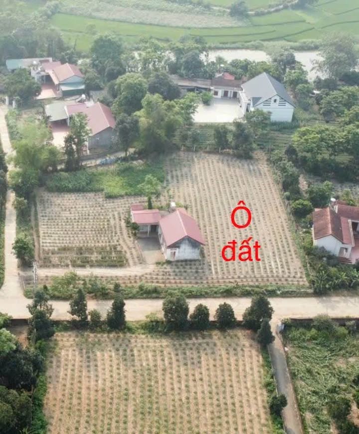 Đất nền khu phố 1, xã Tề Lễ, huyện Tam Nông 400m² - Cơ hội đầu tư sinh lời hấp dẫn!