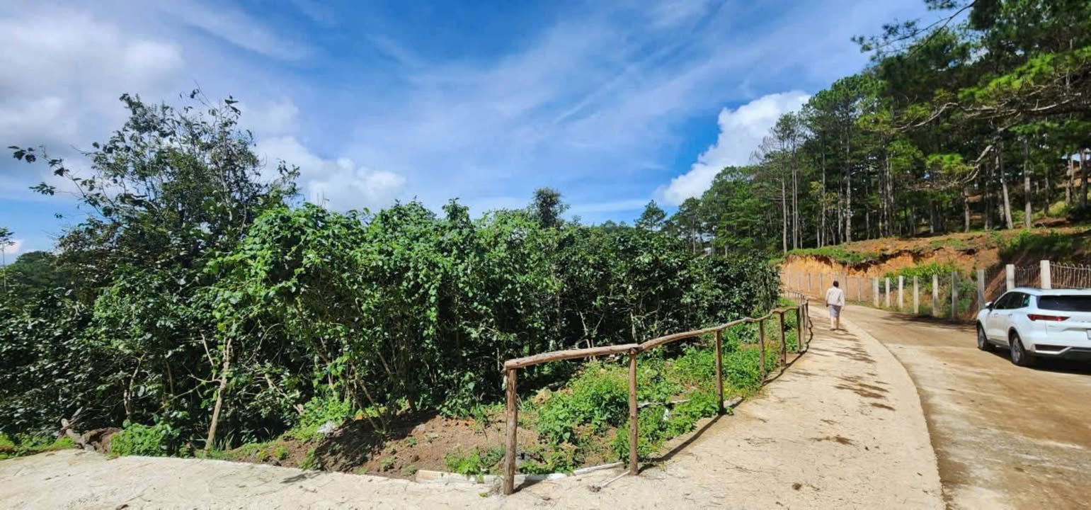 Đất nền Trạm Hành, Đà Lạt 1966m² giá 4 tỷ - View đẹp, gần đồi thông!