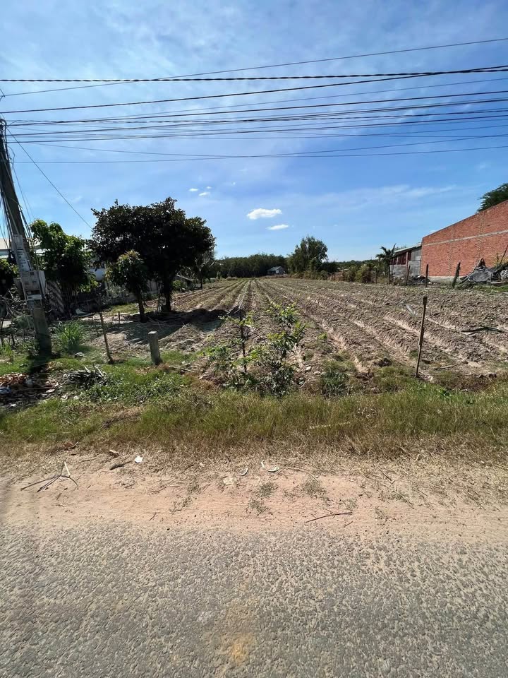 Đất thổ cư mặt tiền Nhựa, Phường Bình Minh, Tây Ninh 200m² giá 425 triệu - Cơ hội đầu tư tuyệt vời!