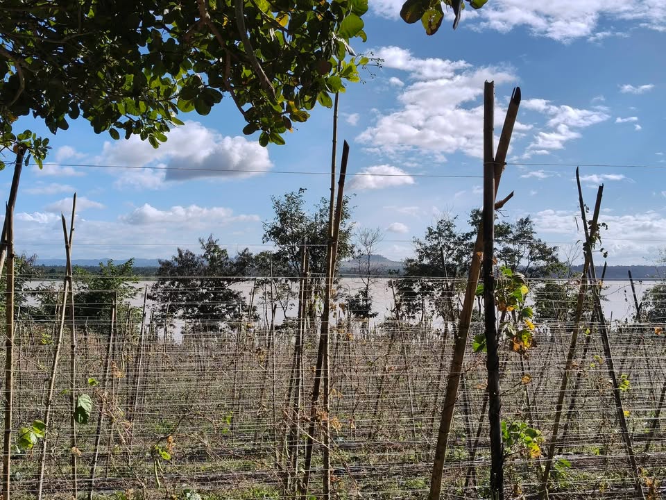 Đất mặt hồ thủy điện Buôn Kốp 1008m² giá thỏa thuận - Cơ hội đầu tư tuyệt vời!