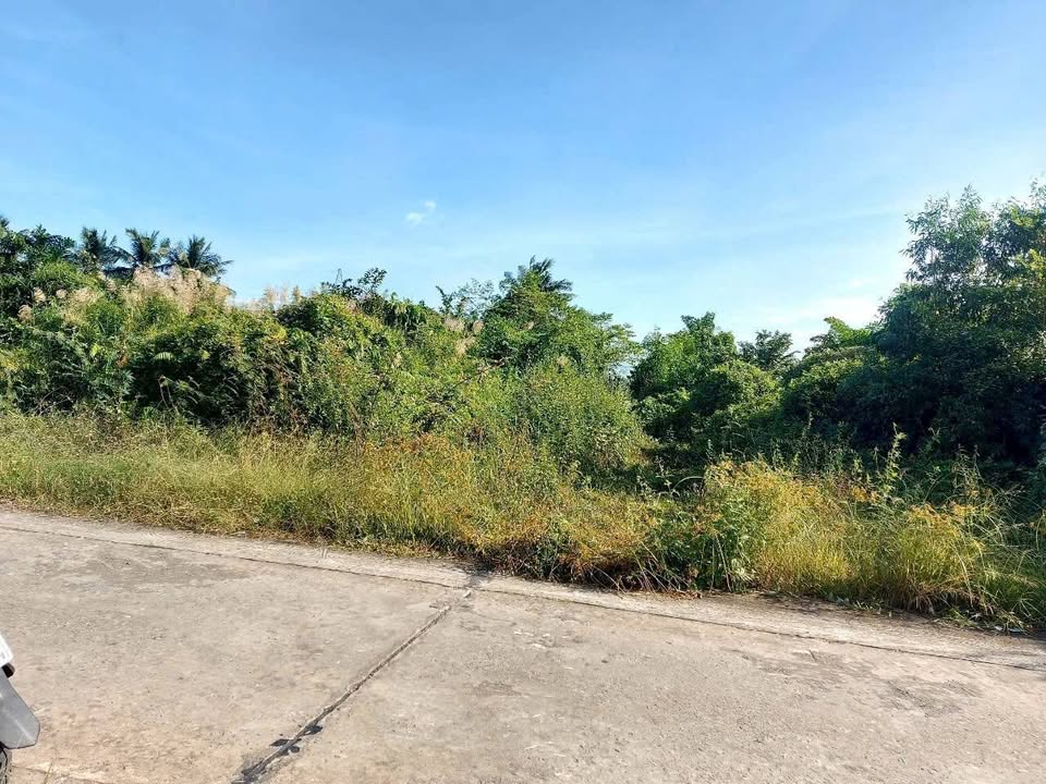 Đất vườn Kiên Giang 957m² giá 1.65 tỷ - Mặt tiền kênh Sua Đũa