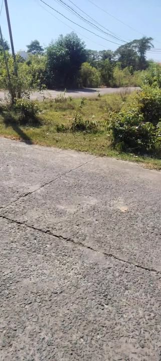 Đất nền Cây Thông Trong Phú Quốc 100m² giá 1.3 tỷ - Đầu tư sinh lời lý tưởng!