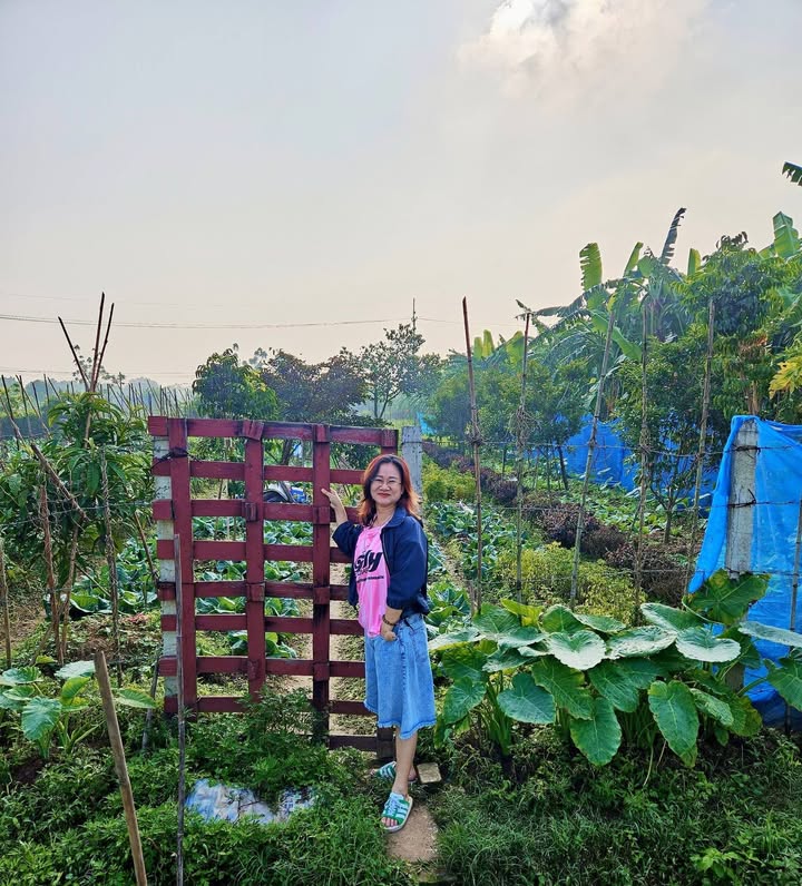 Đất trồng cây 300m² tại Làng Yên Mỹ, Thanh Trì - Giá chỉ 900 triệu!