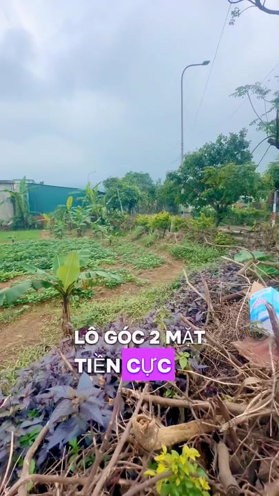 Đất nền Kỳ Liên 150m² giá 1.1 tỷ - Lô góc 2 mặt tiền siêu đẹp!