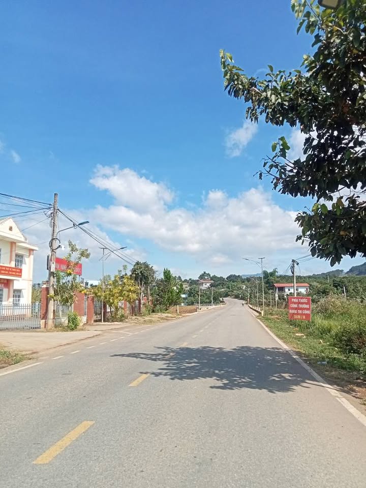 Đất ven Đà Lạt 515m² giá thỏa thuận - View hồ đồi thông tuyệt đẹp!