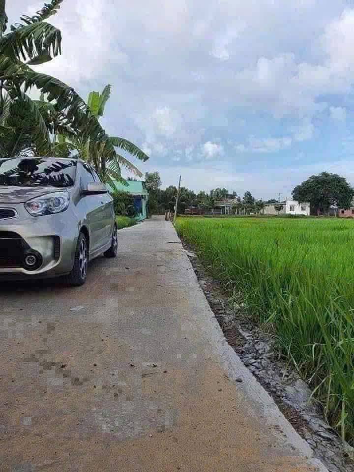 Đất thổ cư 1000m² xã Nhơn Thạnh Trung, Tân An - Nhà cấp 4 - Giá 2.75 tỷ