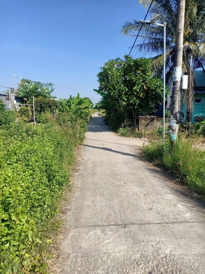 Đất nền Hiệp Thành Bạc Liêu 118m² giá 260 triệu - Hướng Tây, sổ đỏ chính chủ!