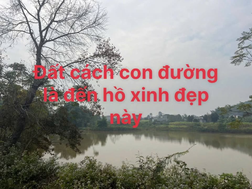 Đất Farm Mỹ Hòa, Tân Lạc 1761m² giá 800 triệu - View đẹp, đầu tư sinh lời!