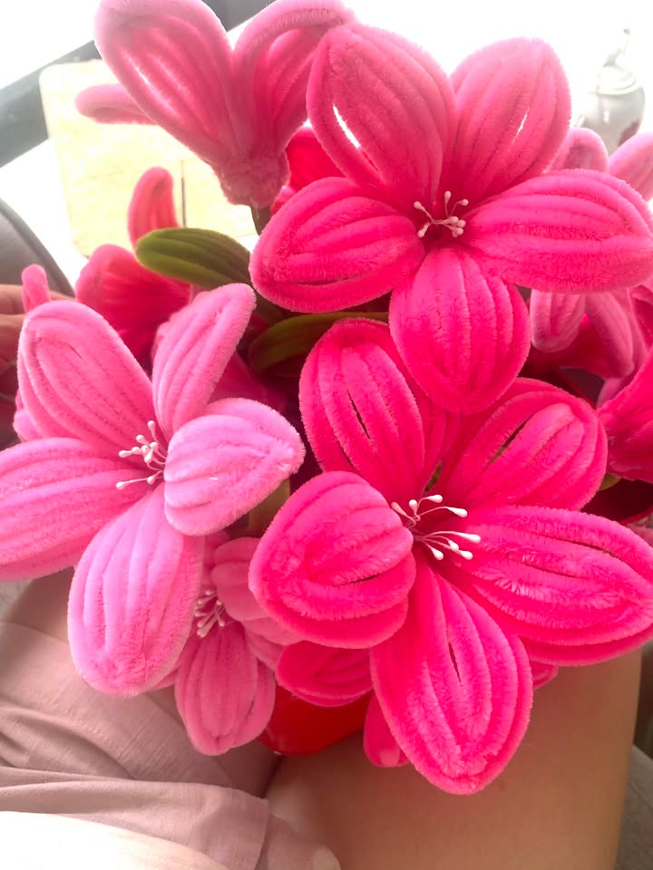 Đất thổ cư Hoài Hảo 300m² giá 650 triệu - Đầu tư sinh lời ngay!