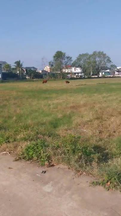 Đất nền 1500m² mặt tiền 12m tại Nam Sầm Sơn - Cơ hội đầu tư tuyệt vời!