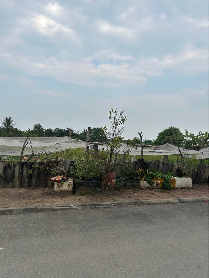 Đất nền Dương Hà 75m² giá thỏa thuận - Cơ hội đầu tư tuyệt vời!