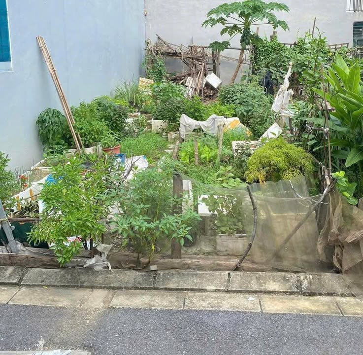 Đất Đa Tốn 50,7m² giá 4 tỷ - Ô tô vào tận nơi, gần chợ và trường học!