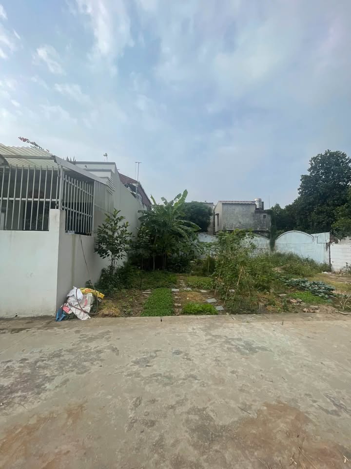 Đất nền Tân Trường, Cẩm Giàng 87m² giá chỉ 1 tỷ - Đất vuông vắn, vị trí đẹp!