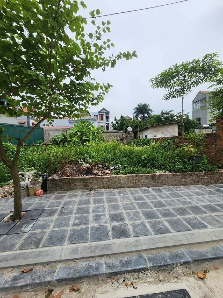 Đất nền Nam Hồng Đông Anh 40m² giá thỏa thuận - Hàng hiếm view hồ tuyệt đẹp!