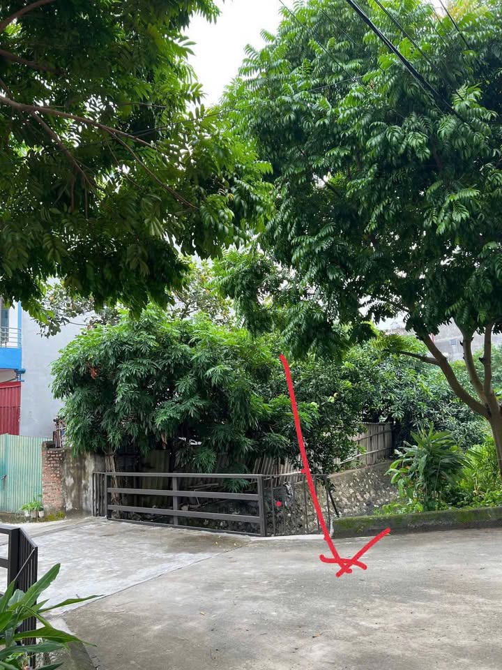 Đất nền ngõ Kim Sơn, Tân Bình, Hải Dương 71m² giá 2.6 tỷ - Mặt tiền thoáng, vị trí đẹp!