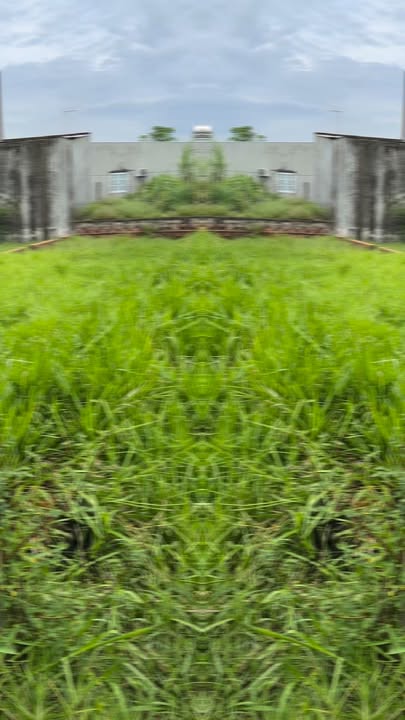 Đất thổ cư Hòa Khánh Nam 110m² giá 700 triệu - Sổ hồng chính chủ, xe hơi vào tận đất!