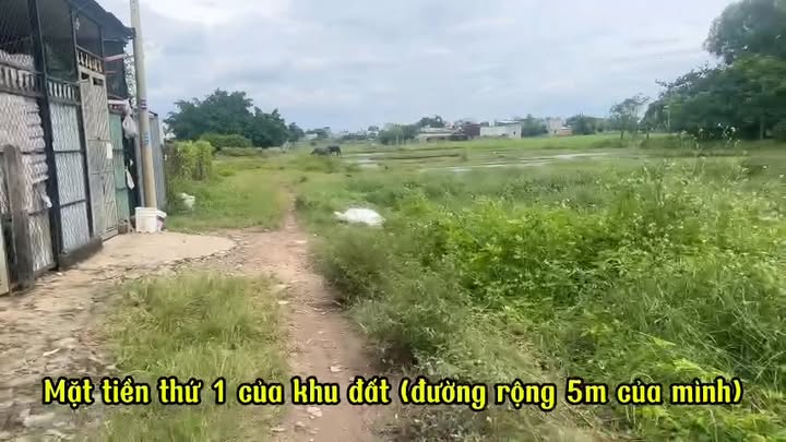 Đất nền Vĩnh Lộc A Bình Chánh 3145m² giá 13.35 tỷ - Mặt tiền rộng, kinh doanh thuận lợi!