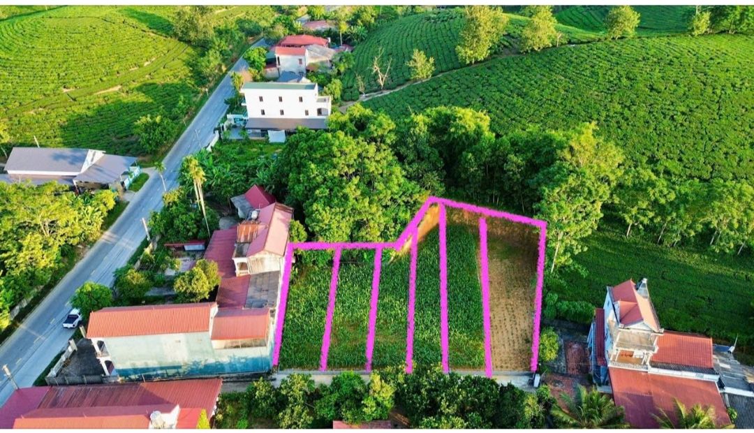 Đất nền liền kề Minh Hòa, Yên Lập 187m² - Sổ đỏ chính chủ, đầu tư sinh lời!