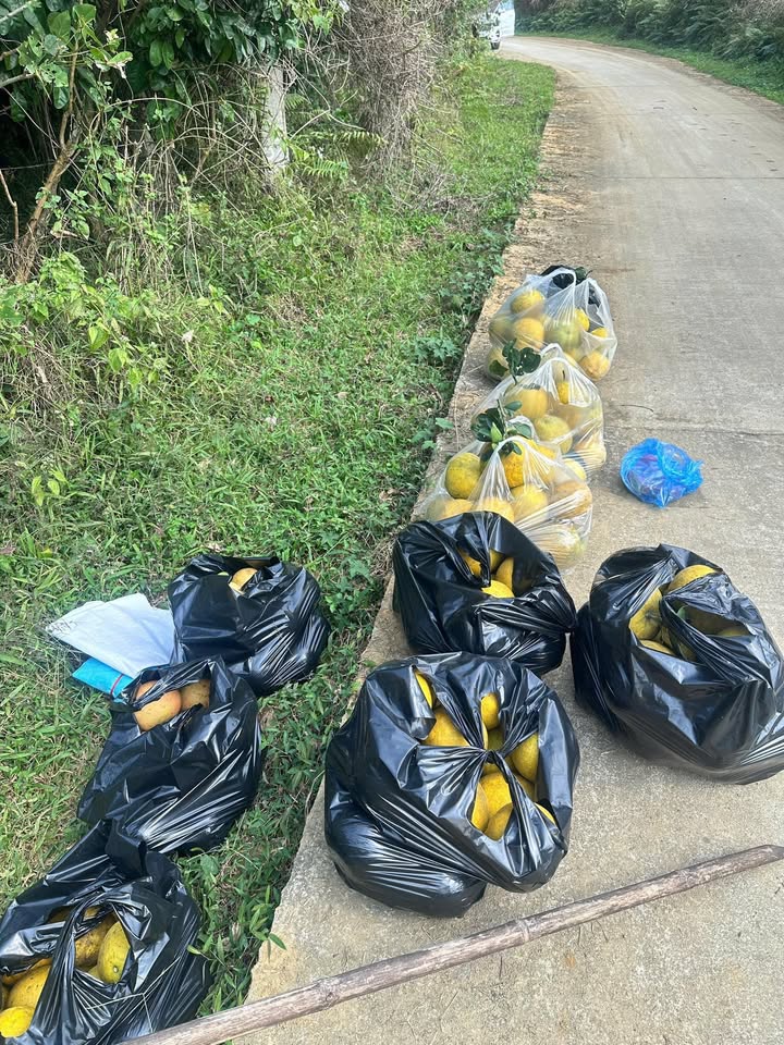 Đất nền Tân Vinh, Lương Sơn 6000m² - Chính chủ cần bán gấp!