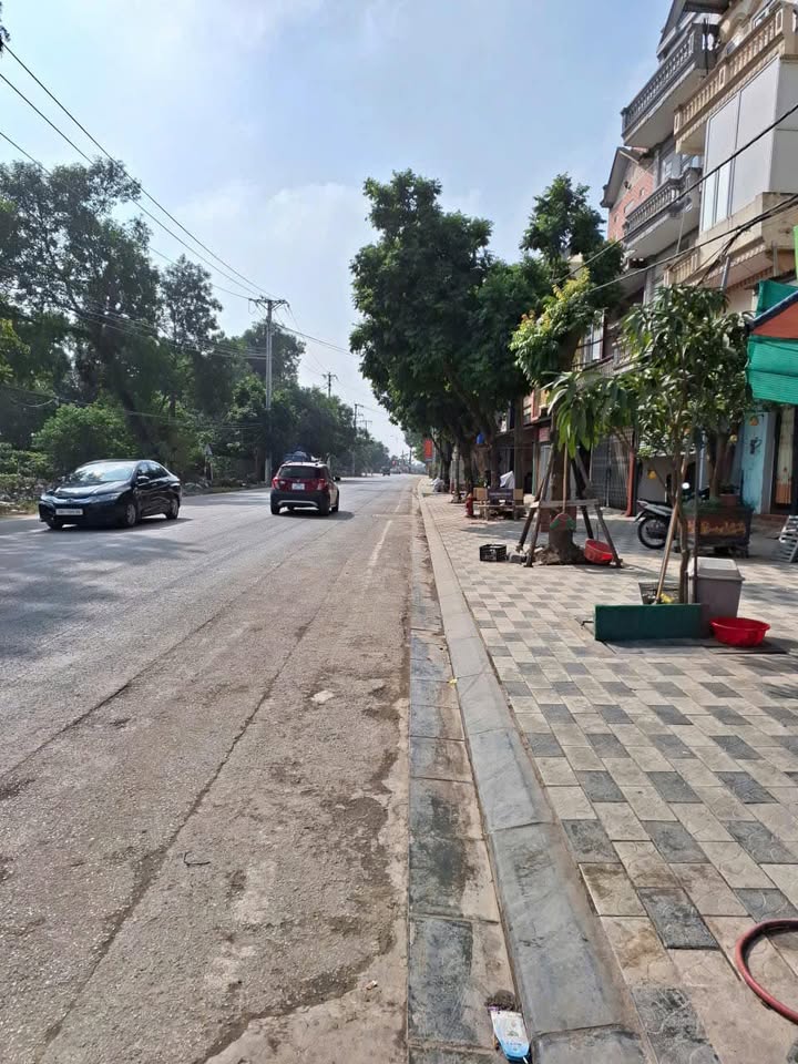 Đất nền Dục Tú Đông Anh 59m² - Đầu tư sinh lời hấp dẫn!