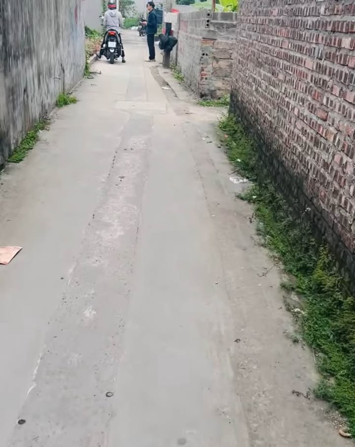 Đất nền Bạch Mai, An Dương 45m² giá 1.5 tỷ - Vị trí đắc địa, tiện ích đầy đủ!