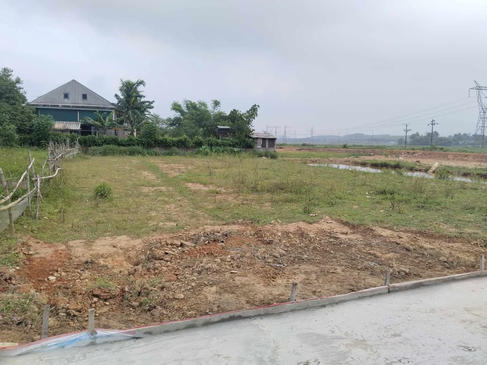 Đất thổ cư 595m² xã Thạch Xuân giá chỉ 1.19 tỷ - Cơ hội đầu tư tuyệt vời!