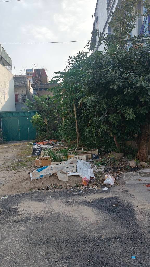 Đất xóm 4 Liêm Chung, 99m² giá chỉ 3x triệu/m² - Cơ hội đầu tư tuyệt vời!