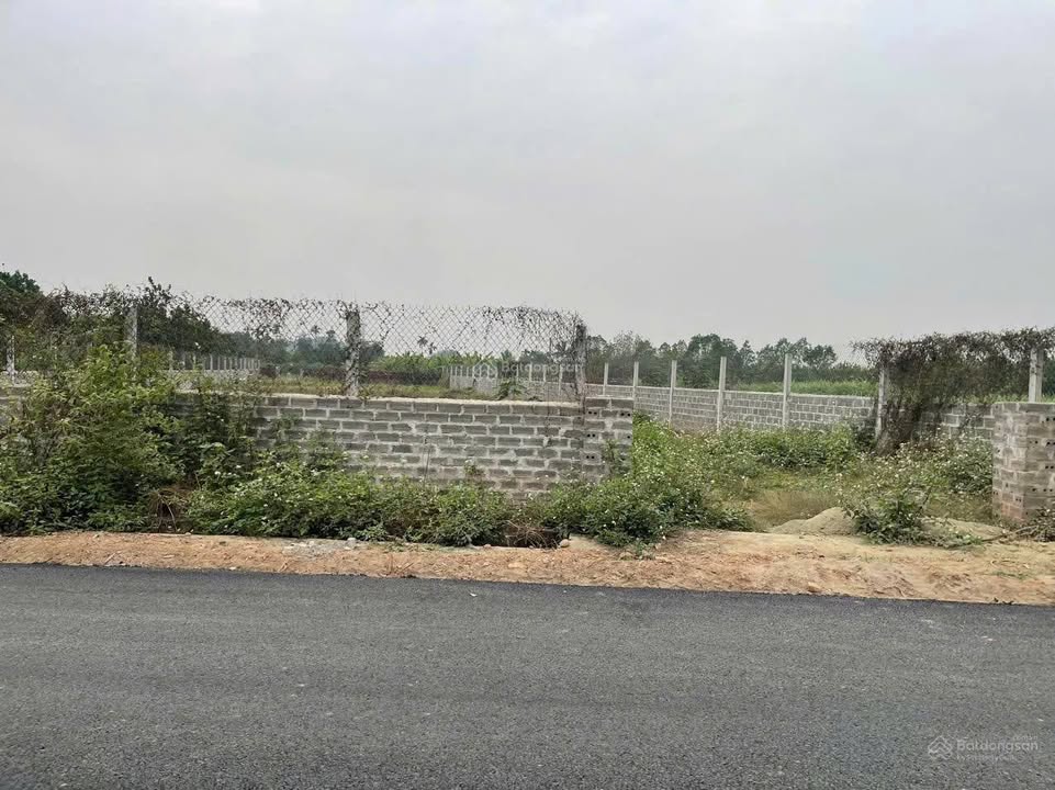 Đất mặt đường DH08, Sài Sơn, Quốc Oai 1100m² giá 5.5 tỷ - Đầu tư sinh lời ngay!