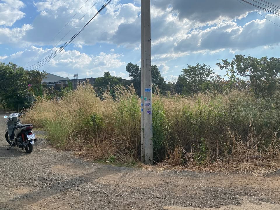 Đất nền góc Phường Tân Bình - Bình Phước 296.8m² giá 2.1 tỷ - Cơ hội đầu tư tuyệt vời!