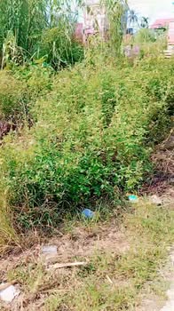 Lô đất 150m² tại Minh Hòa - Kinh Môn, hướng Tây Bắc - Cơ hội đầu tư lý tưởng!