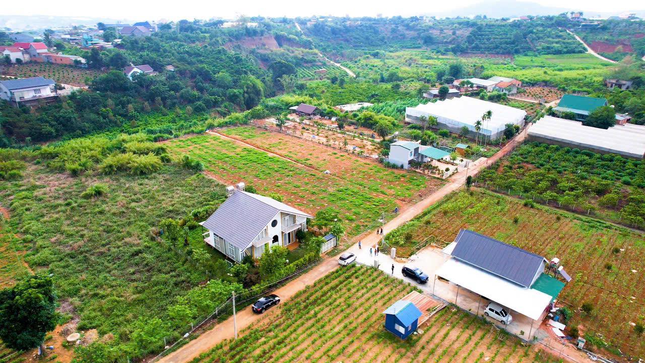 Đất nền xã Nam Ban Lâm Hà 534m² giá 1.15 tỷ - Pháp lý rõ ràng, đầu tư sinh lời!