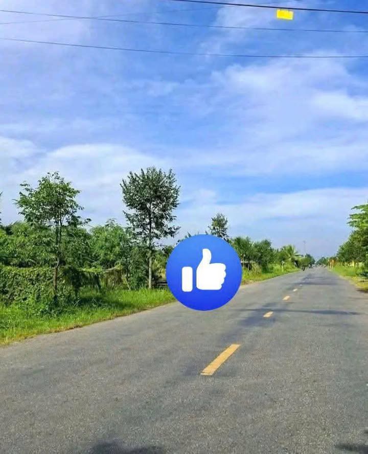 Đất nền 5000m² xã Châu Hòa, Giồng Trôm chỉ 8 tỷ - Cơ hội đầu tư sinh lời!