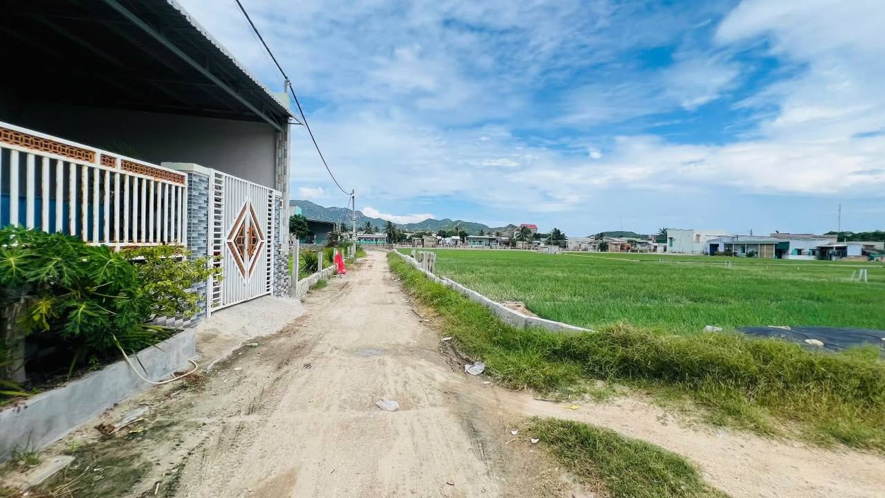 Đất thổ cư Mỹ Phong 254m² giá 1.1 tỷ - Cơ hội đầu tư hấp dẫn!