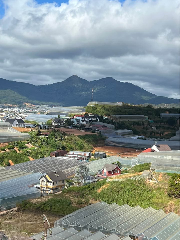 Đất nền kinh doanh phường Cam Ly Đà Lạt 700m² giá 8 tỷ - Tiềm năng phát triển lớn!