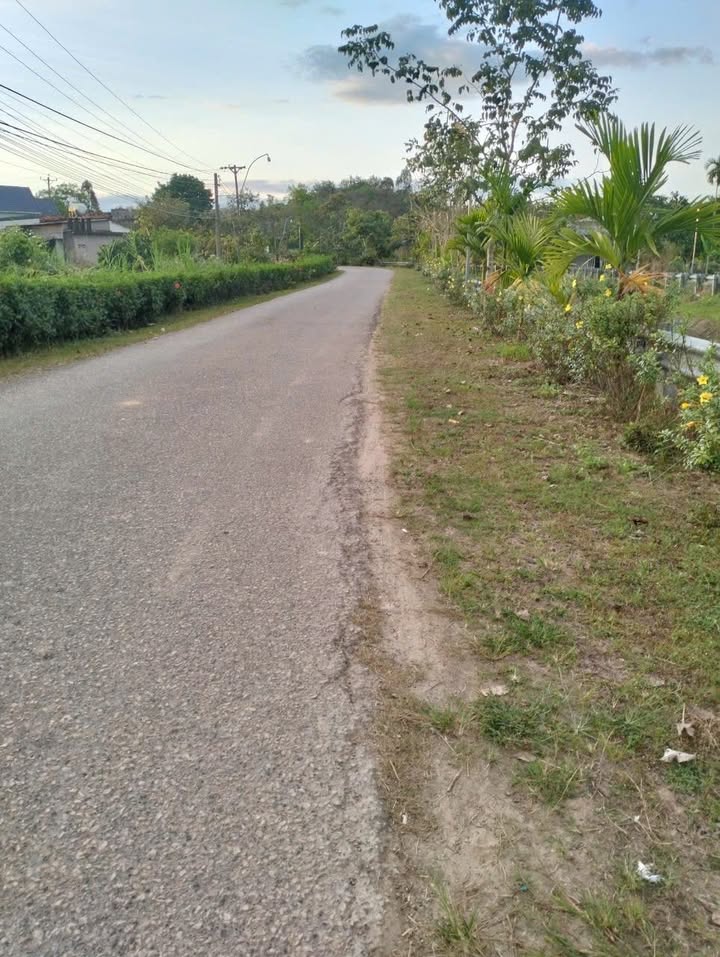 Bán đất 9 sào tại xã Mỹ Đức, huyện Đạ Tẻh, Lâm Đồng - Mặt tiền đường lớn, giá 3 tỷ thương lượng!