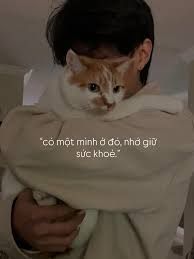 Đất nền 50m² đường Lê Duẩn, Đống Đa giá 10 tỷ - Đầu tư sinh lời ngay!