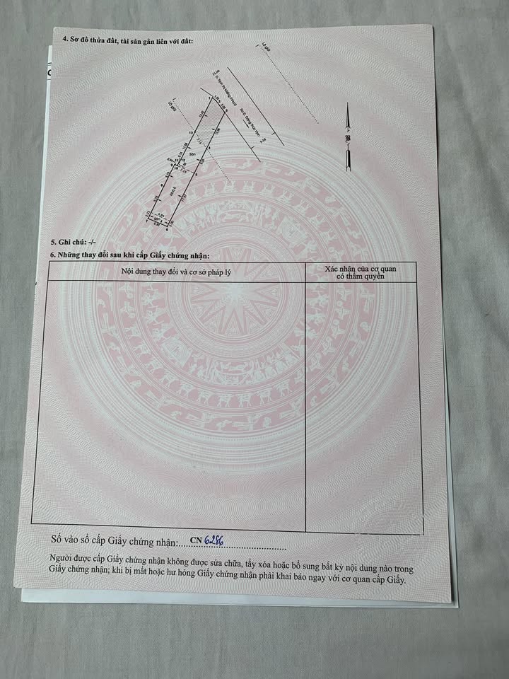 Nhà cấp 4 + Đất thổ cư 295m² mặt tiền Trịnh Thị Miếng, Hóc Môn - Giá 14.5 tỷ, thương lượng!