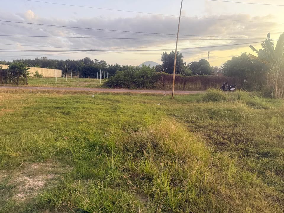 Đất nền Tân Phú Tân Châu 310m² giá 3.1 tỷ - Cơ hội đầu tư tuyệt vời!