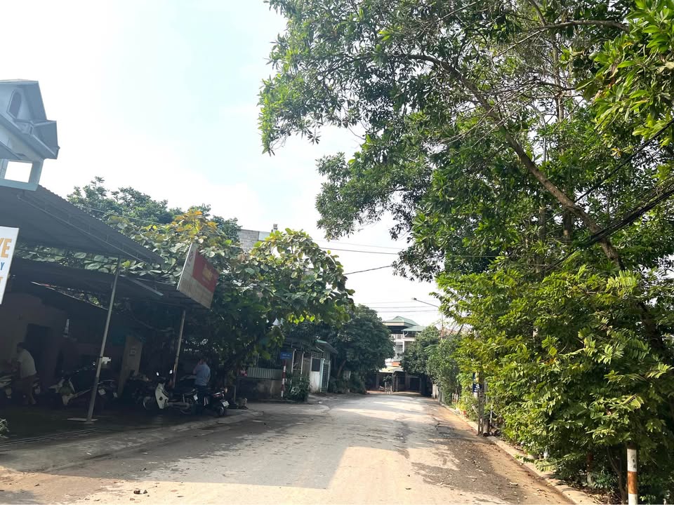 Đất mặt đường Tuệ Tĩnh, Tuyên Quang 112m² giá chỉ 2 tỷ - Đầu tư sinh lời!